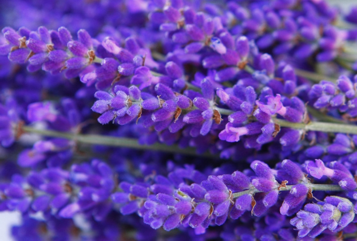 deodorant bottle skincare minimalist product